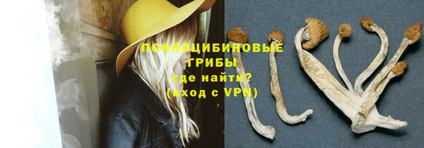 тгк Аркадак