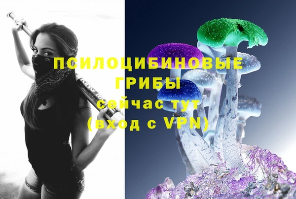 тгк Аркадак