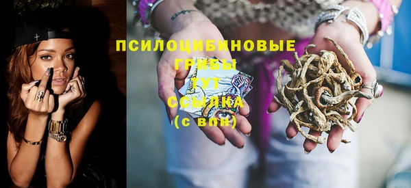 соль ск Арсеньев