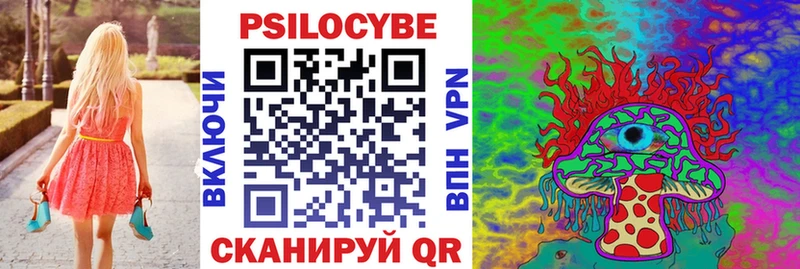 Галлюциногенные грибы Psilocybe  ОМГ ОМГ как зайти  Фатеж 