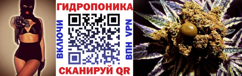 shop состав  Фатеж  Бошки марихуана OG Kush 